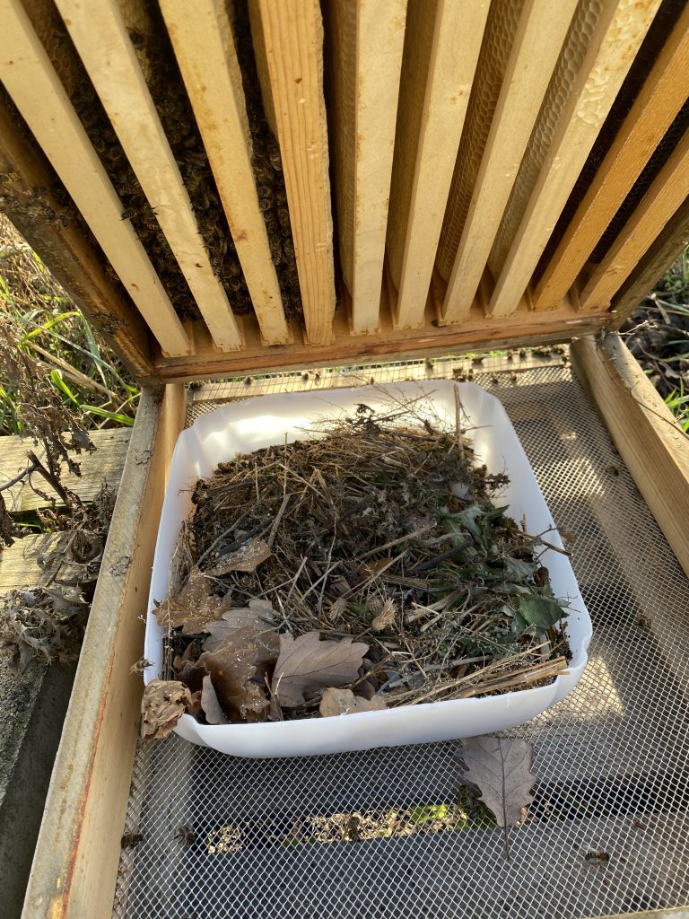 Ein Bienenvolk wird im Winter von unten gefüttert.