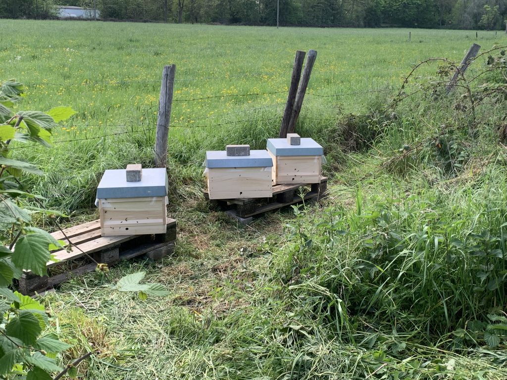 Viererböden stehen am Bienenstand