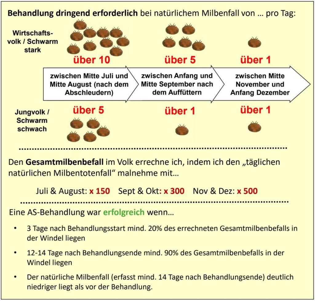 Umrechnung des Milbenfall - Wie viele Milben befinden sich im Volk.