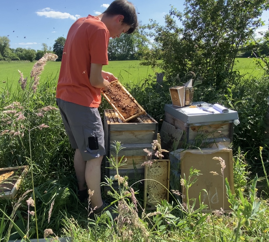 Der Autor Simon Opitz bei der Arbeit an einem Bienenvolk